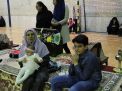 گزارش تصویری از جشنواره غذای طیبات